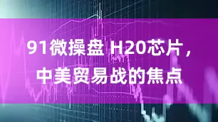 91微操盘 H20芯片，中美贸易战的焦点