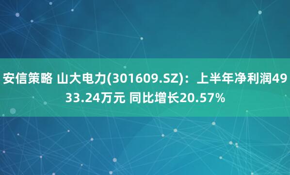 安信策略 山大电力(301609.SZ)：上半年净利润4933.24万元 同比增长20.57%