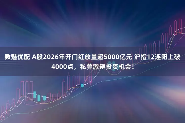 数魅优配 A股2026年开门红放量超5000亿元 沪指12连阳上破4000点，私募激辩投资机会！