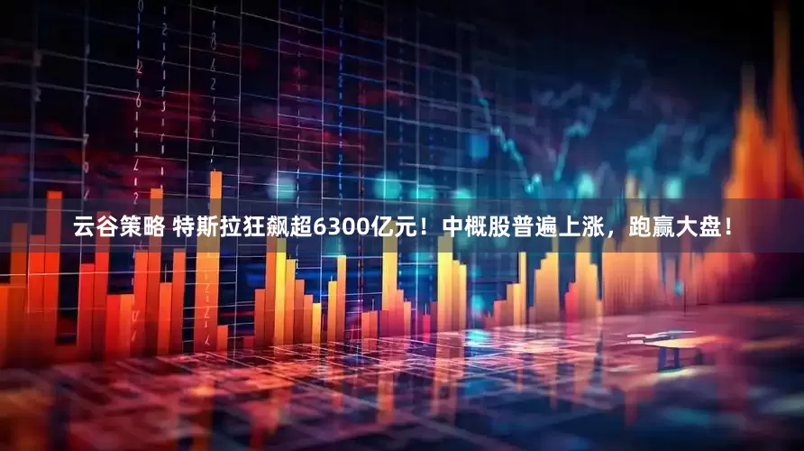 云谷策略 特斯拉狂飙超6300亿元！中概股普遍上涨，跑赢大盘！