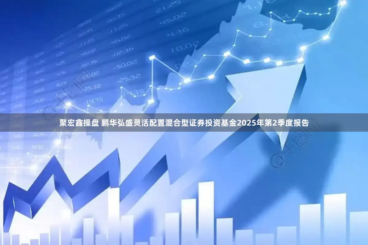 聚宏鑫操盘 鹏华弘盛灵活配置混合型证券投资基金2025年第2季度报告