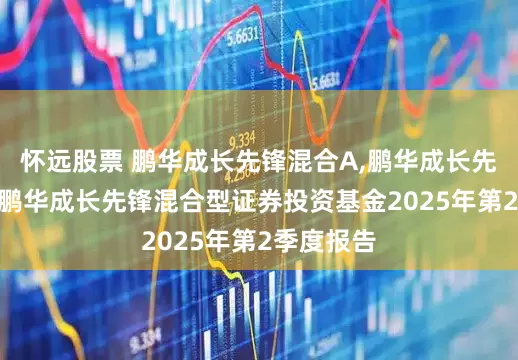 怀远股票 鹏华成长先锋混合A,鹏华成长先锋混合C 鹏华成长先锋混合型证券投资基金2025年第2季度报告